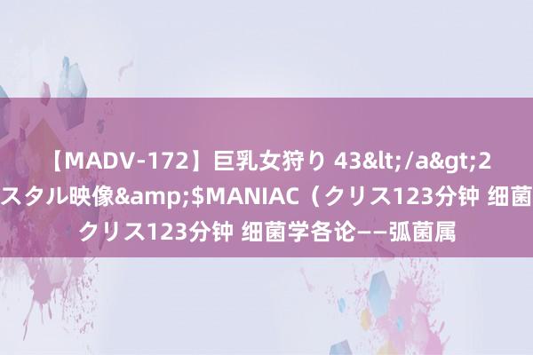 【MADV-172】巨乳女狩り 43</a>2010-11-05クリスタル映像&$MANIAC（クリス123分钟 细菌学各论——弧菌属