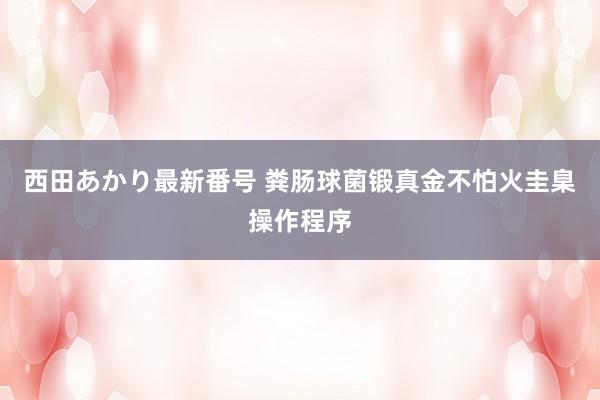 西田あかり最新番号 粪肠球菌锻真金不怕火圭臬操作程序