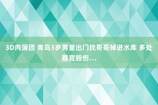 3D肉蒲团 青岛3岁男童出门找哥哥掉进水库 多处器官毁伤…