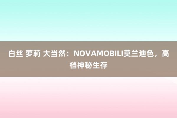 白丝 萝莉 大当然：NOVAMOBILI莫兰迪色，高档神秘生存