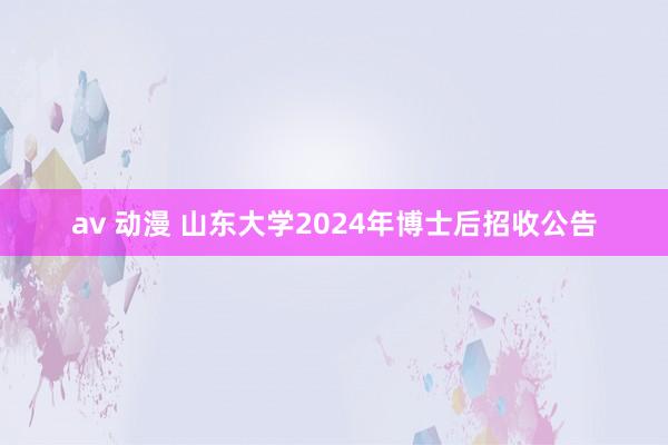 av 动漫 山东大学2024年博士后招收公告